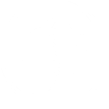 Align Physio 